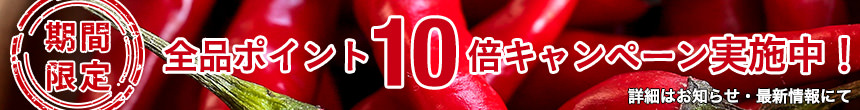 全品ポイント10倍キャンペーン実施中！