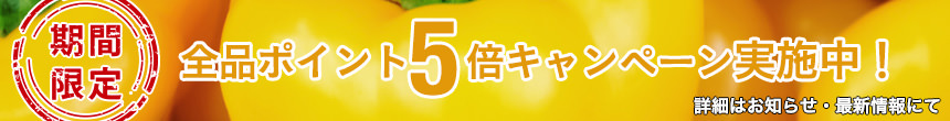 13時間限定！全品ポイント5倍実施中！