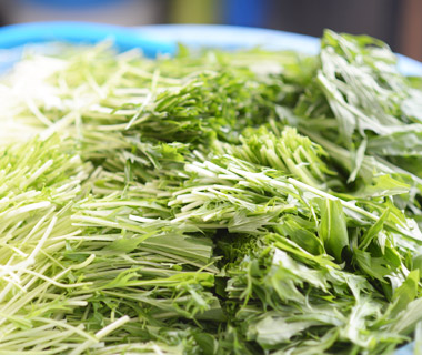 食感が楽しい水菜キムチ