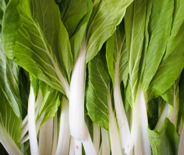 なっぱは大阪府産