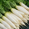 大根そのまま
